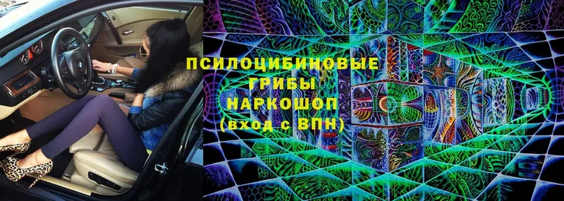 Галлюциногенные грибы MAGIC MUSHROOMS  Бахчисарай 